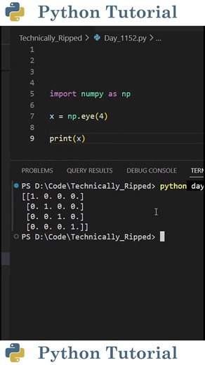 How to Create an Identity Matrix | Python Tutorial