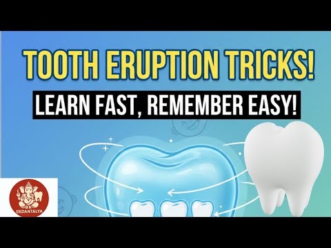 🦷 Never Forget Tooth Eruption! Easy Tricks for Primary & Permanent Dentition