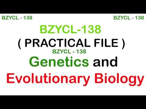 BZYCL 138 IGNOU EXP BSCG | IGNOU PRACTICAL FILE | ZOOLOGY | GENETICS AND EVOLUTIONARY BIOLOGY