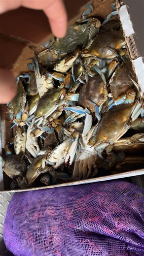 Ultimate Crawfish Boil Guide for Seafood Lovers