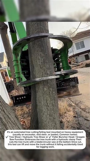 tree felling technology tools on narrow roads#shortvideos #machinetechnology