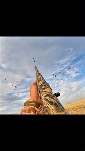 🦆💥Watch till the end for an epic moment!#HuntingSeason #DuckShoot #YouTubeShorts #hunting