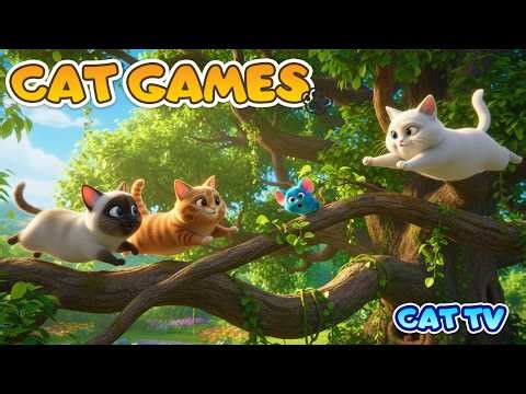 24 Hour Cat TV for Cats Home Alone 🐱 Fun Cat Games & Cartoon Entertainment