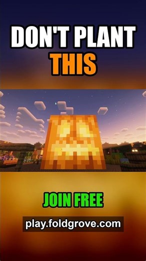 This Minecraft pumpkin seed grows... and explodes #minecraft #farmville #minecraftserver