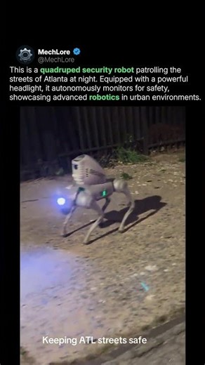 Robotic Dog Guards Atlanta Streets at Night
