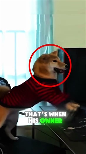 This Dog Took Video Games WAY Too Seriously