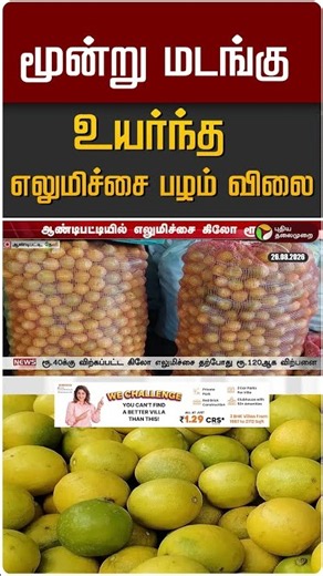 மூன்று மடங்கு உயர்ந்த எலுமிச்சை பழம் விலை #shorts