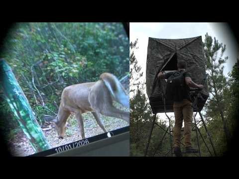 Freaky Deer and Coyote Hunting