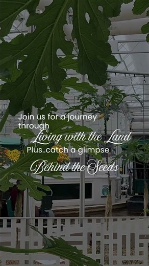 Beloved Disney Attraction #Disneyworld #disneyrides