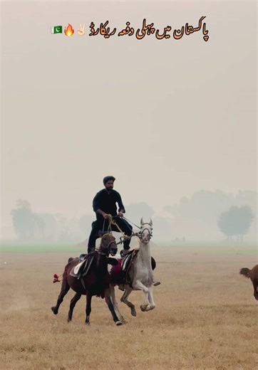 First time in Pakistan — a new record ✌🏻🔥(performed by a trained person with a trained horse please don’t try)#راۓ🌾🚜🥷🏻 #rayabdulhai #bhirishahrehman #گھوڑے_شوق_نواباں_دا🐴 #fyp
