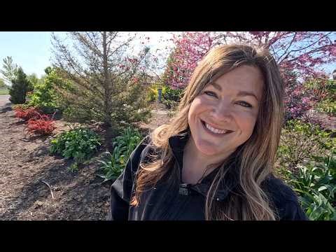 Treating Iron Deficient Plants, Edging Grass & Planting 2 Types of Perennial! 🌿🪏🌾 // Garden Answer