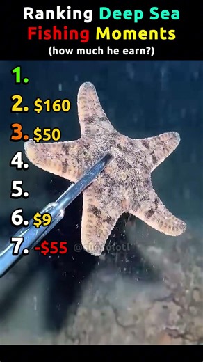 Ranking Deep Sea Fishing Moments Pt.11 | How much he earn? #deepsea