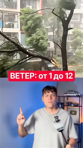 This is what wind from 0 to 12 on the Beaufort scale looks like #facts #science #hurricane