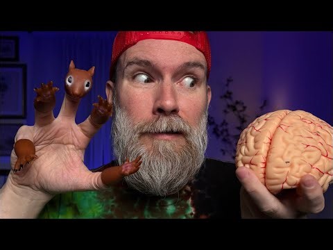 ASMR Fast Triggers for YOU!