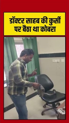 डॉक्टर साहब की कुर्सी पर बैठा था कोबरा | #Snake | #Cobra #Rajasthan #viralvideo #Shorts
