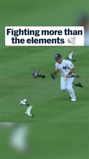 Trent Grisham had more to worry about than just fielding the ball 🤣