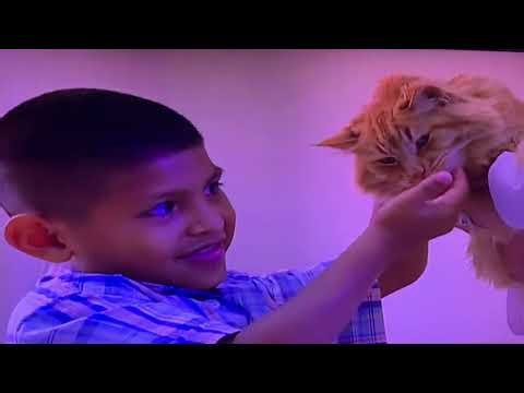 Barney & Friends Season 10 Episode 15 Rabbits