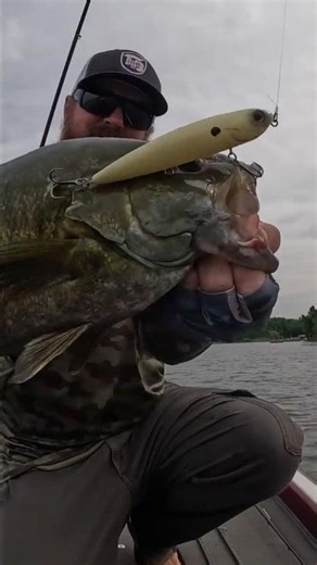 😎 GIANT TOPWATER BASS!! 😎