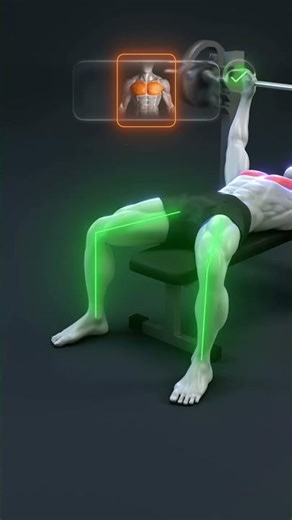 🔥 The PERFECT Bench Press in 5 Steps