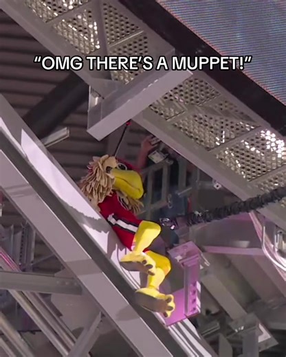 Atlanta Mascot Surprises NFL Fans: OMG There's a Muppet