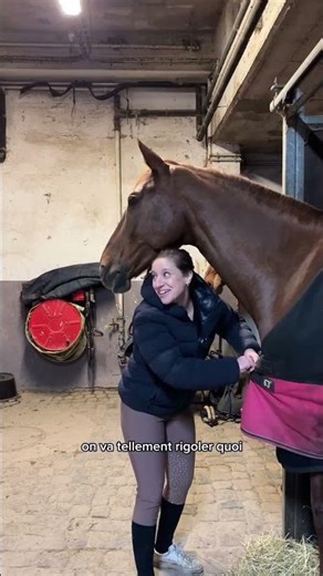 #reposte #entresesoreilles #shorts #cheval #equitation