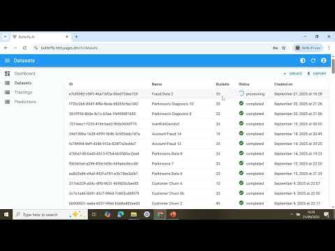 Guidelines Hyperparameter Optimization Butterfly AI Platform v2