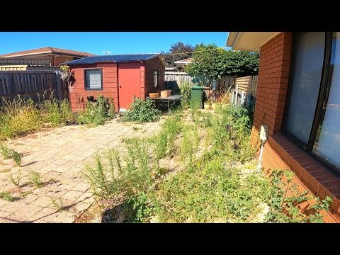 She Spent 3 Months in Hospital and Came Home to THIS... (Garden Rescue)