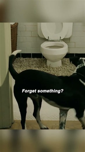 "Teaching a Dog to Use a Toilet and Turning a Beater Into a Supercar" 🐕🚽🏎️😎 | Bruce Almighty