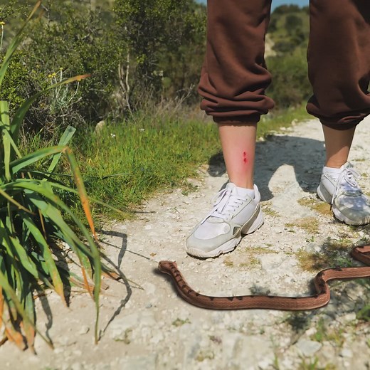 Next-Level Tent Life: Smart Camping Hacks to Try | 5-Minute Crafts Family