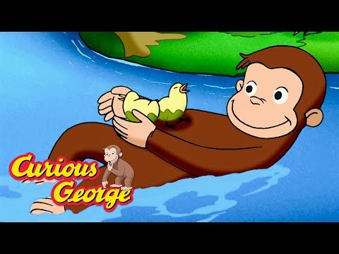 George Saves the Chicks! 🐵 Curious George 🐵 Kids Cartoon 🐵 Kids Movies