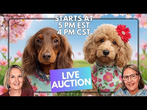 Join the AUCTION FUN | Saturday Ladies Night LIVE SALE | You Don't Want to Miss It | 4 pm CST