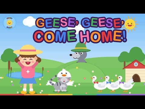Geese, Geese, Come Home! 🦢🐱 Shantik & Friends Count, Honk & Run From the Silly Wolf | Funny Sunny
