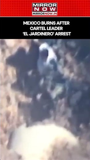 MEXICO BURNS: Drug Kingpin El Jardinero's Arrest Sparks Violence, Shops Burnt, Highways Closed