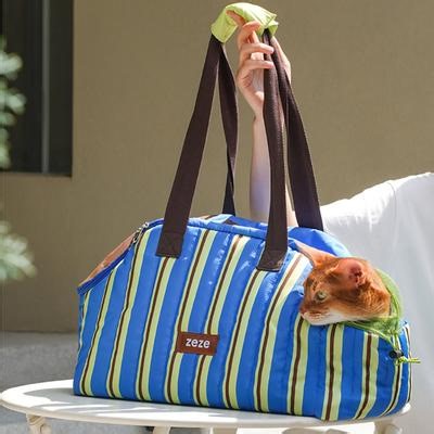 ZEZE Ocean Blue Stripe Traveling Dog & Cat Carrier for Traveling with Large Mesh Window, Side Drawstring, Safety Clip & Padded Base, 18.8-in - Chewy.com