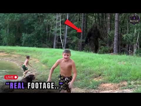 3 Hours of SCARIEST Bigfoot Encounters Caught On Camera 2026 | Live