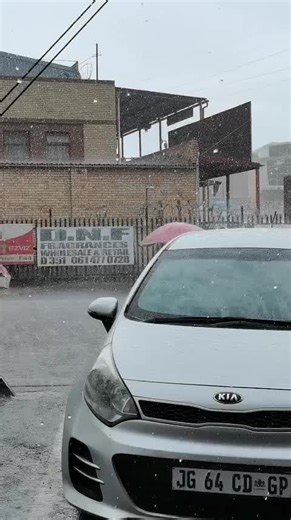 Genuine Leather T-Shirt Design Insights