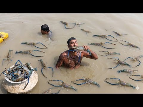 Unbelievable Fishing Video! Diving in the River to Catch Shrimp 😱 | Catching Big Fish 🔥
