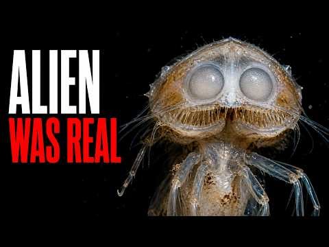 Ridley Scott Based Alien on This Real Animal. It's Still Hunting Right Now