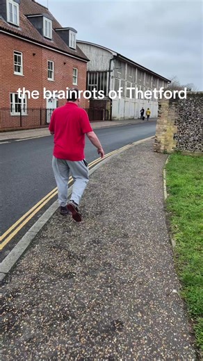 Brainrots of Thetford