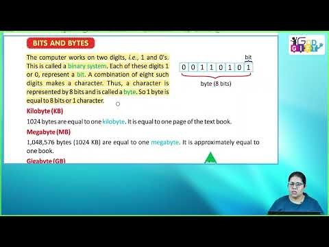 Ch 3 | Classico Books Publishing | Computer | Class 5 | Computer Memory | For Children