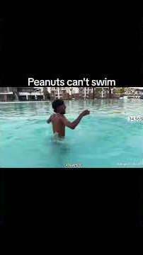 PEANUTS CAN'T SWIM. 😂😂😭 @Lulutho_Sinxoto @Retharsa_musicc #swimming #peanuts #shorts #cpc
