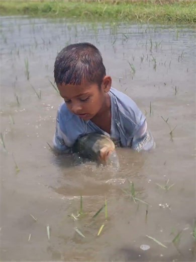 4-Year-Old Catches Giant Fish Bare Handed #fishing #fish
