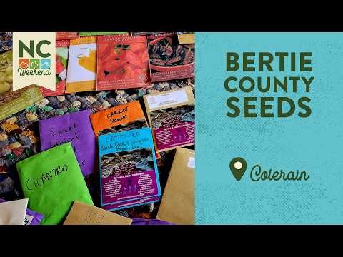 Bertie County Seeds - Colerain, NC | North Carolina Weekend