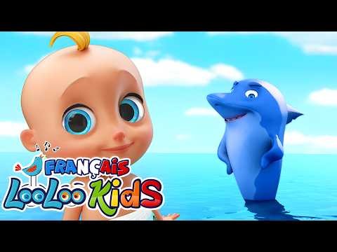 Bébé Requin 🦈 | Chansons à gestes pour bébé 👏 | LooLoo Kids en Français