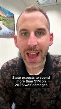 Calf killed by wolf in Pitkin County