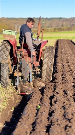 International Tractor Ploughing