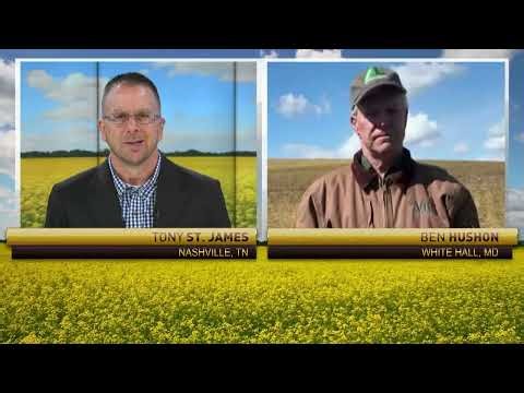 Corn and soybean planting decisions Mid-Atlantic farmers are making right now