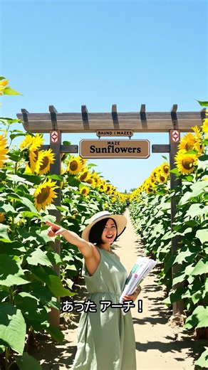 【夏のひとり旅】ひまわり迷路の出口を見つけたら、入口だった