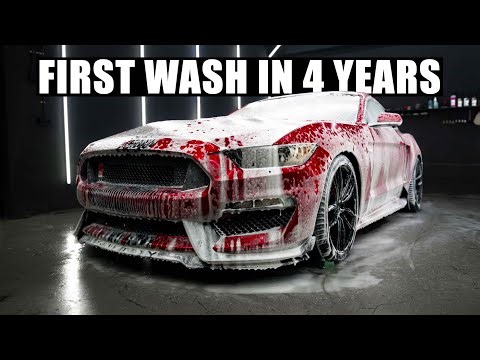 This Ford Mustang Sat for 4 Years – Full Interior Detail & Satisfying Rescue