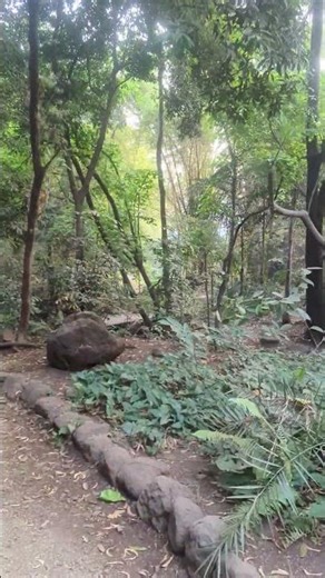 Our greatest weakness lies in giving up The mst certain way to succeed is always try jst one mor tym